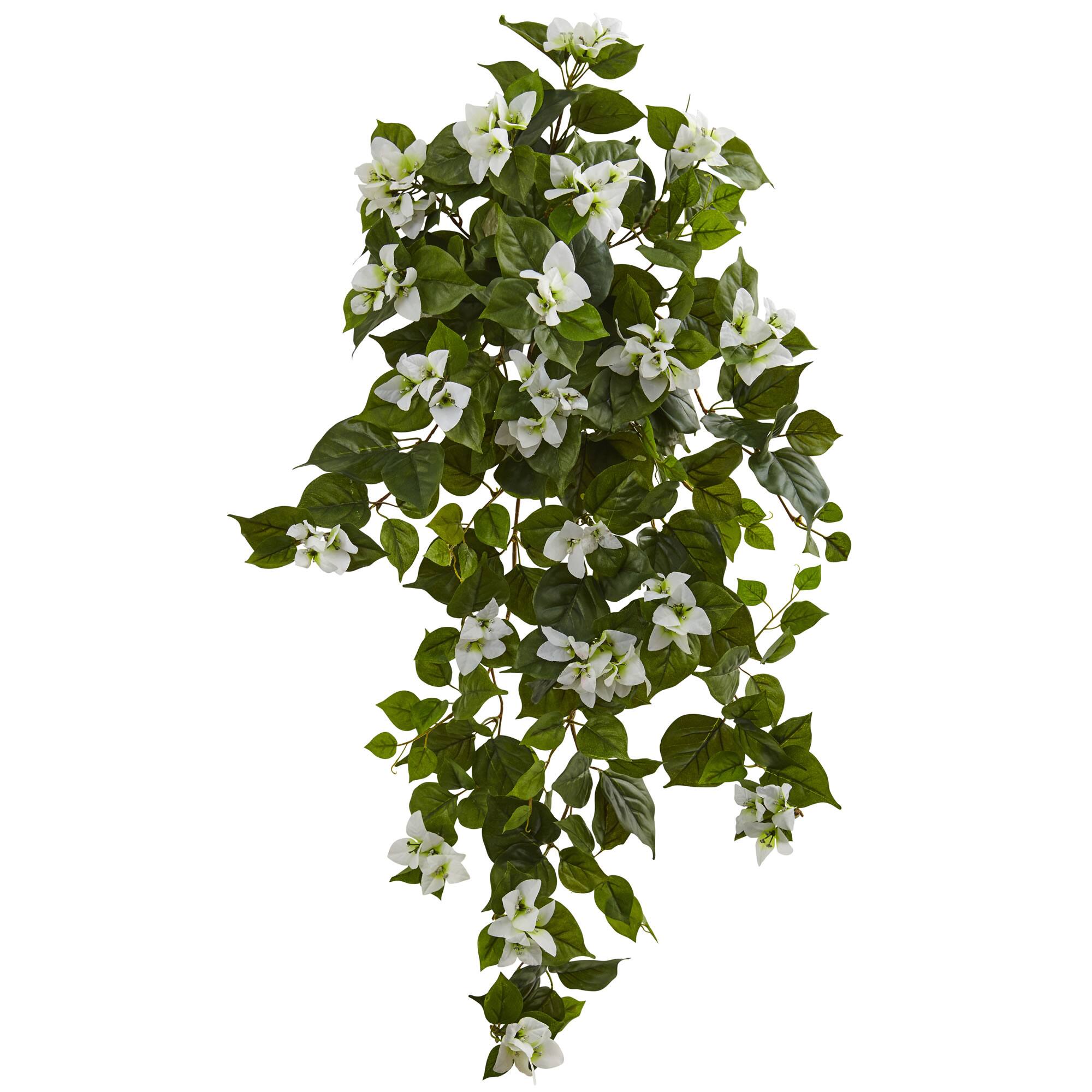 37" Bougainvillea Hanging Plant, 2ct.